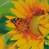 Butterfly On Sunflower Diamond Painting