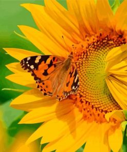 Butterfly On Sunflower Diamond Painting