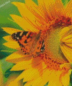 Butterfly On Sunflower Diamond Painting