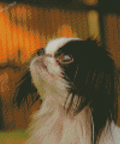 Close Up Japanese Chin Diamond Painting