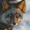 Cool Silver Fox Diamond Painting