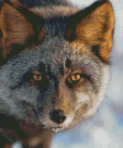 Cool Silver Fox Diamond Painting