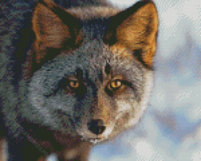 Cool Silver Fox Diamond Painting