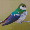 Cool Violet Green Swallow Diamond Painting