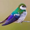 Cool Violet Green Swallow Diamond Painting