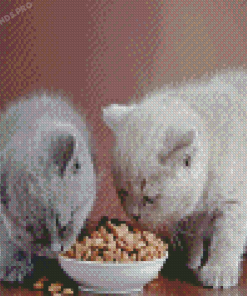 Cute Cats With Food Diamond Painting