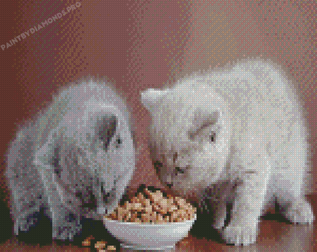 Cute Cats With Food Diamond Painting