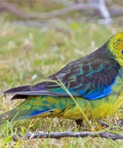 Cute Green Rosella Diamond Painting