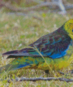 Cute Green Rosella Diamond Painting