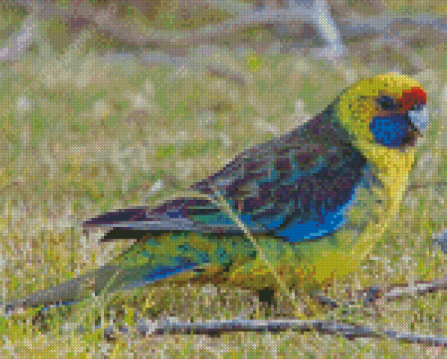 Cute Green Rosella Diamond Painting