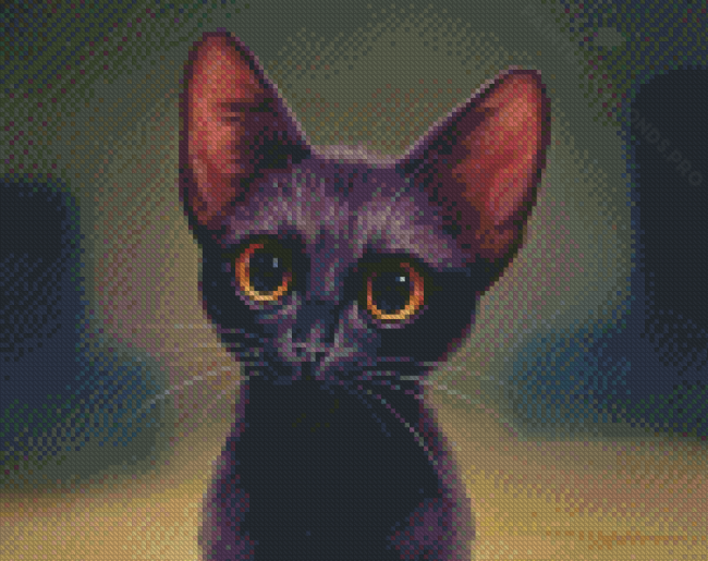 Cute Black Kitten Yellow Eyes Diamond Painting