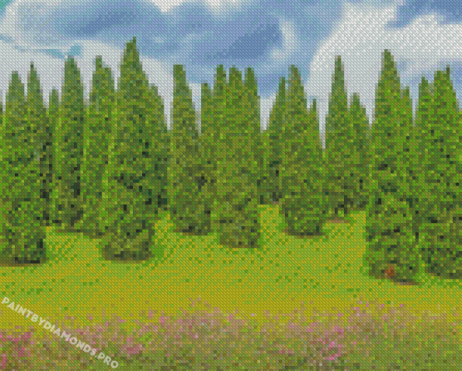 Evergreen Trees Diamond Painting