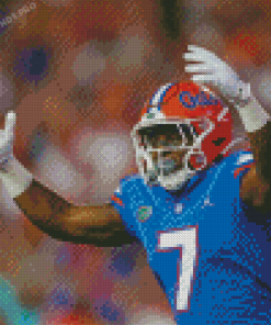 Florida Gators Footballer Diamond Painting