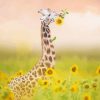 Giraffe Sunflowers Diamond Paintings