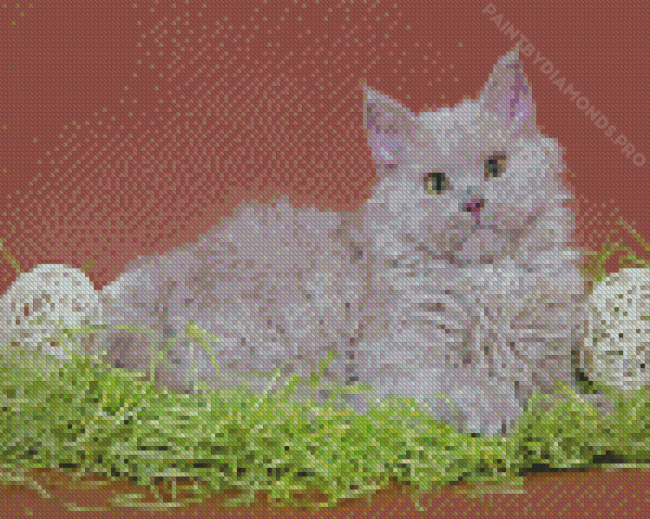 Grey Selkirk Rex Cat Diamond Painting