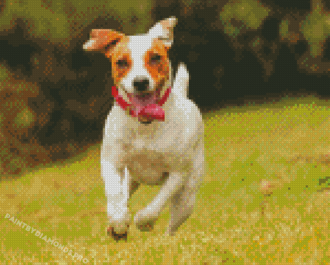 Happy Bichon Jack Russell Dog Diamond Paintings