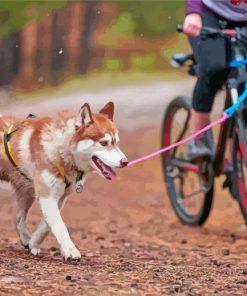 Husky Dog With Bicycle Diamond Painting