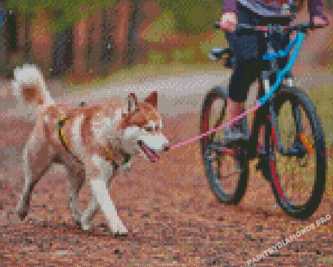 Husky Dog With Bicycle Diamond Painting