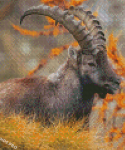 Ibex Animal Diamond Painting