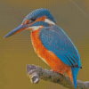 Kingfisher Halcyon Bird Diamond Painting