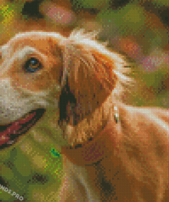 Saluki Dog Diamond Painting