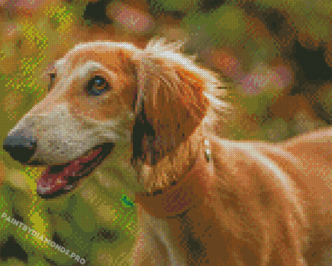 Saluki Dog Diamond Painting