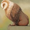 Sleepy Baby Owl Bear Diamond Paintings