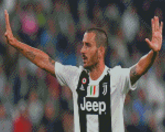 The Football Player Bonucci Leonardo Diamond Painting