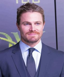 The Handsome Actor Stephen Amell Diamond Painting