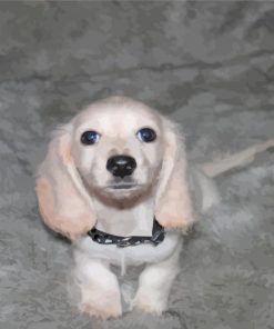 White Mini Dachshund Diamond Paintings