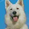 White German Shepherd Diamond Painting