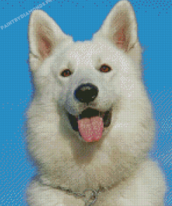 White German Shepherd Diamond Painting