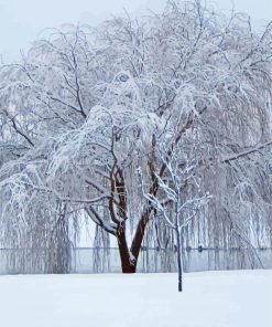 Winter Willow Tree Diamond Paintings