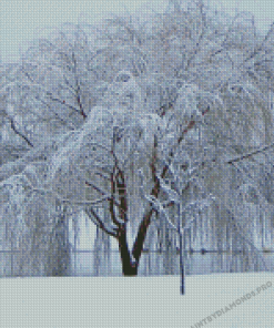 Winter Willow Tree Diamond Paintings