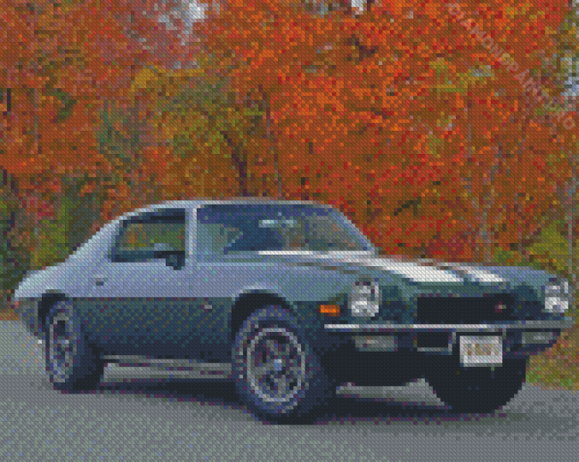 1970 Camaro Diamond Painting