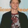 Actor Jace Norman Diamond Painting