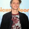 Actor Jace Norman Diamond Painting