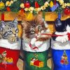 Adorable Cats In Stockings Diamond Painting