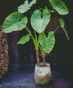 Alocasia Plants Diamond Painting