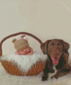 Baby And Labrador Retriever Diamond Painting