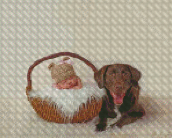 Baby And Labrador Retriever Diamond Painting