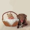 Baby And Labrador Retriever Diamond Painting