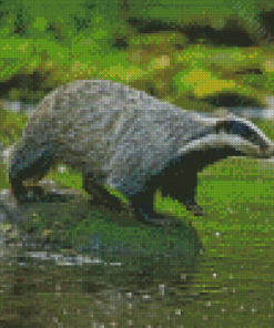 Badger Animal By Water Diamond Painting