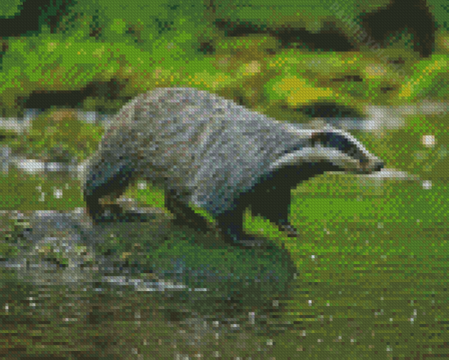 Badger Animal By Water Diamond Painting