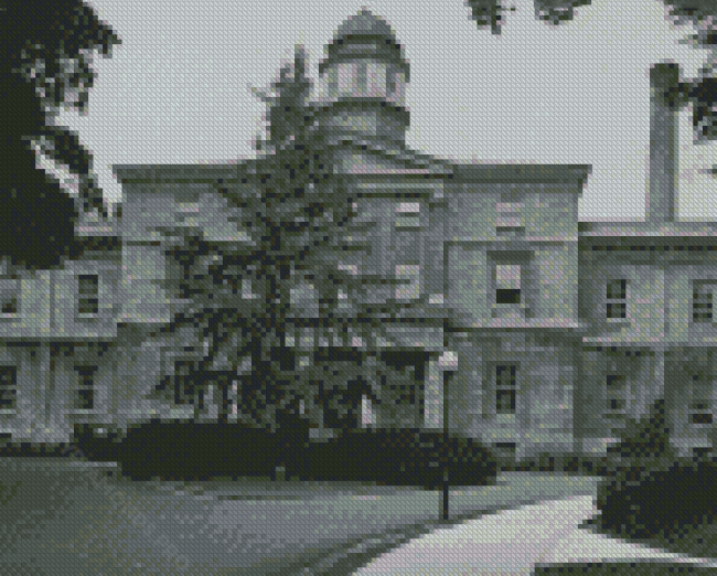 Black And White McGill University Diamond Painting