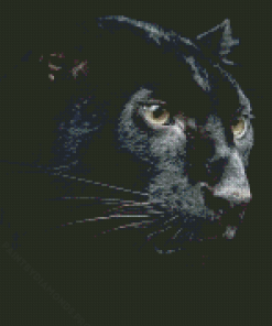 Black And White Panther Face Diamond Painting