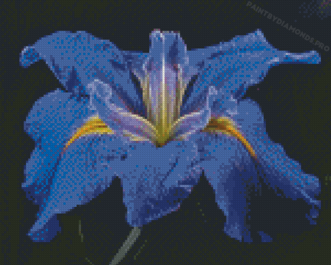 Bloom Blue Irises rose Diamond Painting