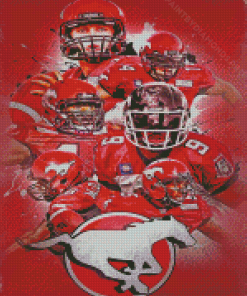 Calgary Stampeders Football Team Diamond Painting