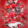 Calgary Stampeders Football Team Diamond Painting