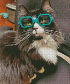 Cat With Glasses Diamond Painting